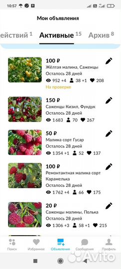 Саженцы малины, Полька