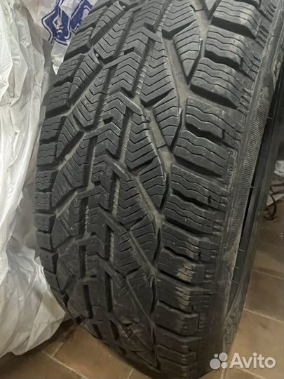 Tigar Winter 215/50 R17 95V