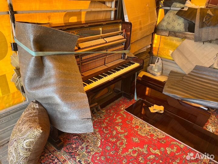 Грузчики / Домашние переезды / Грузотакси