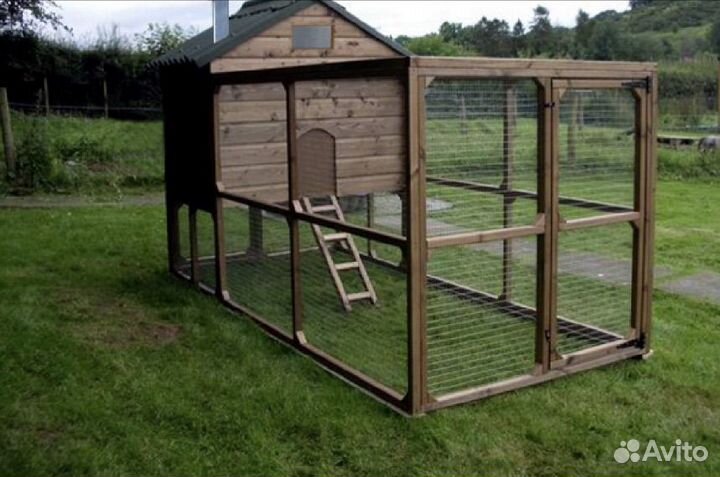 Курятник своими руками на 20 кур