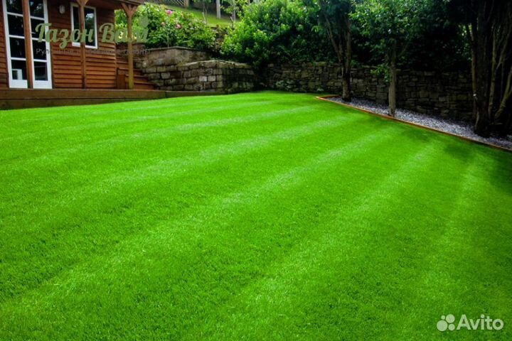 Укладка рулонного газона