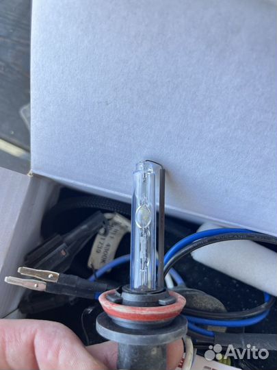 Лампы ксенон h11 4300