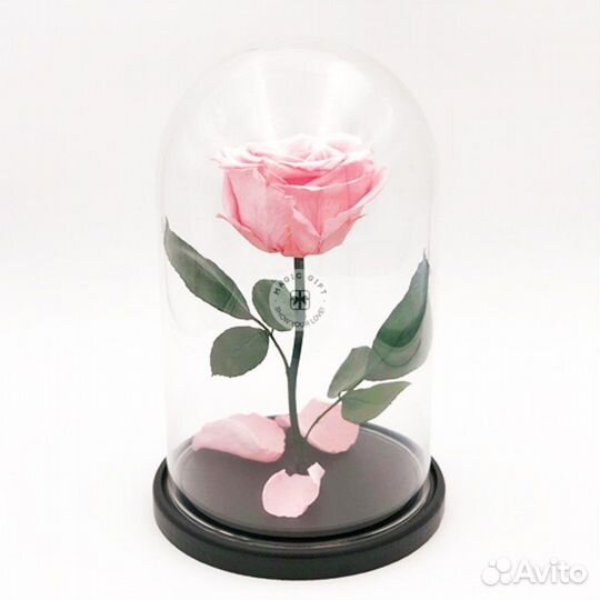 Роза в колбе вечная