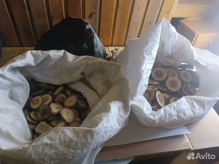 Торцевые спилы деревьев