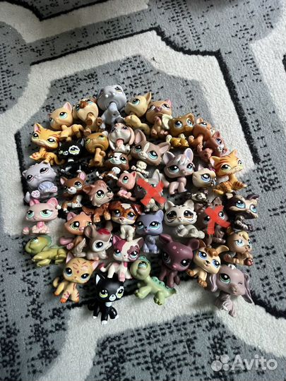Littlest pet shop