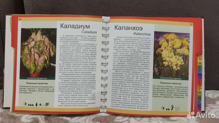 Книга о цветах