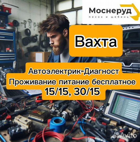 Автоэлектрик диагност