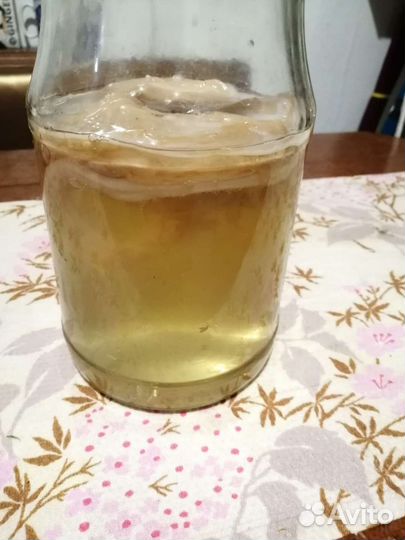 Комбуча чайный гриб банка