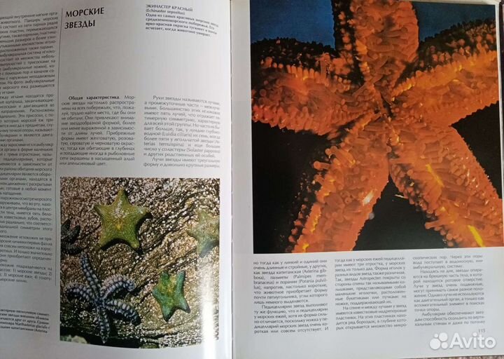 Книга Мир животных