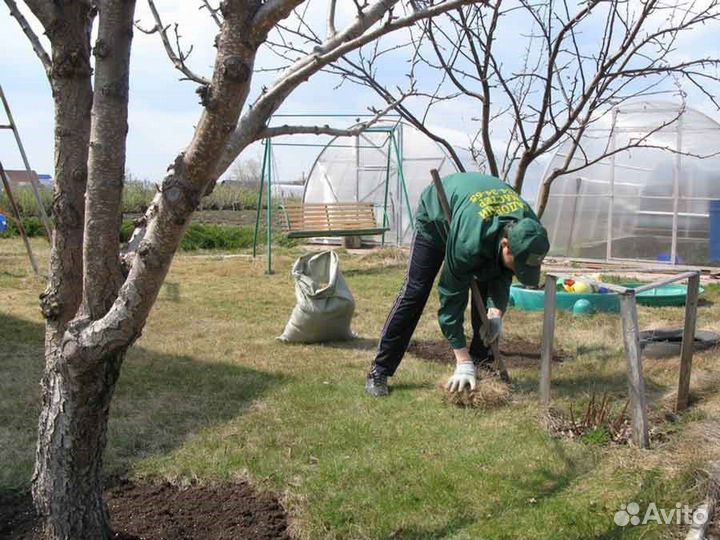 Уборка дачных участков уборка на дачу узбеки