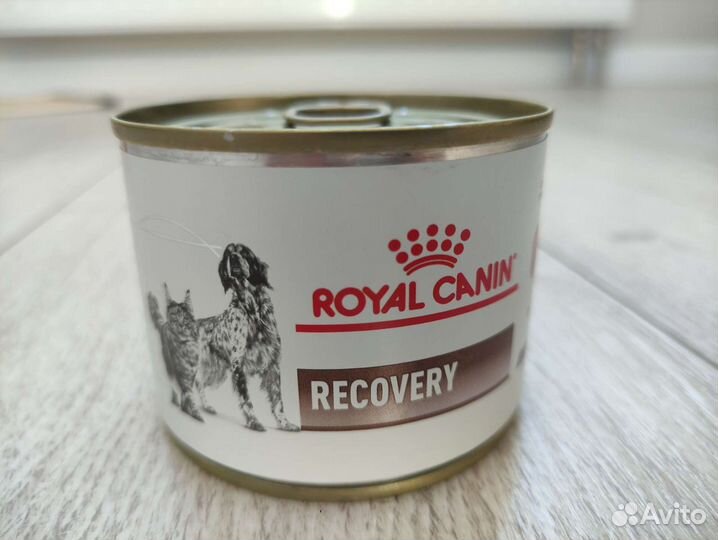 Диетический рацион для собак и котов Royal Canin Recovery в период восстановления после болезни
