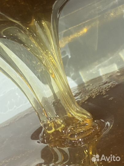 Мед свежий урожай 2023 года