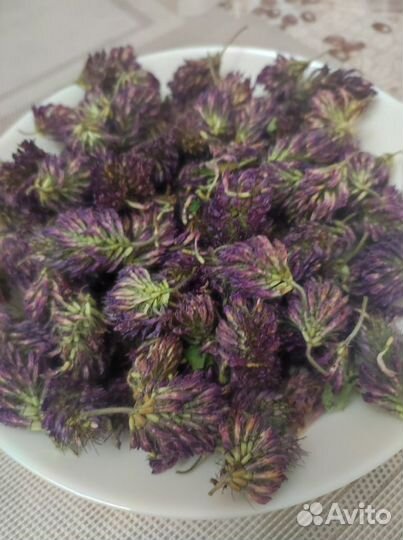 Клевер сушеный