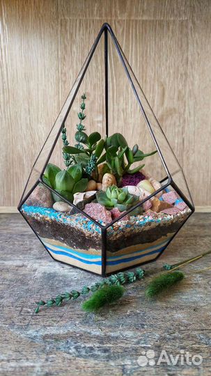 Флорариум Капля