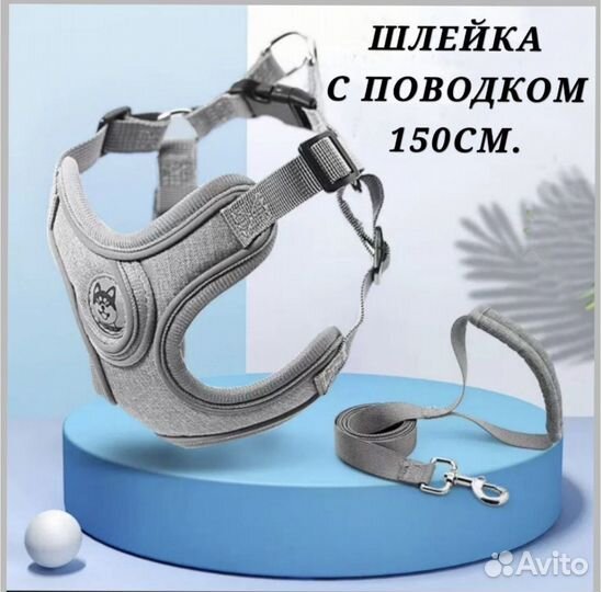 Шлейка для собаки с поводком