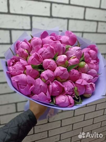 Пионы свежие с доставкой быстро рядом качественно