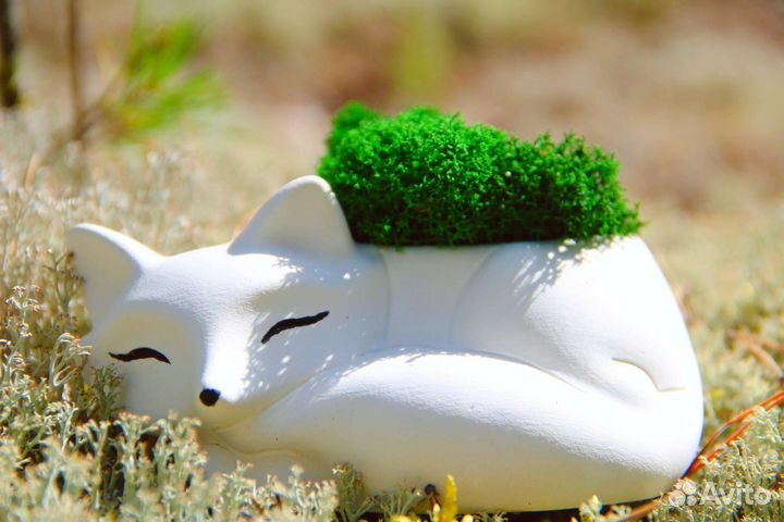 Кашпо, Подарок на день рождения