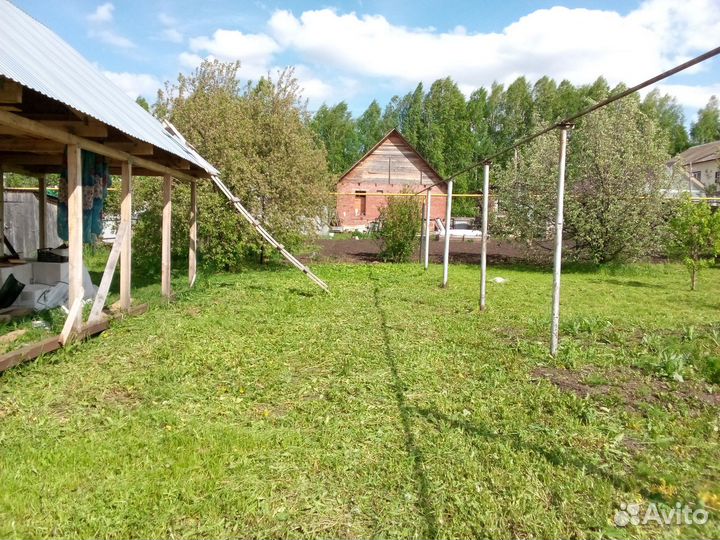 Покос травы триммером