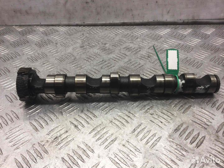 Распредвал Audi A6 Ake