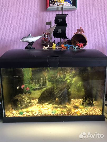 Аквариум с рыбками