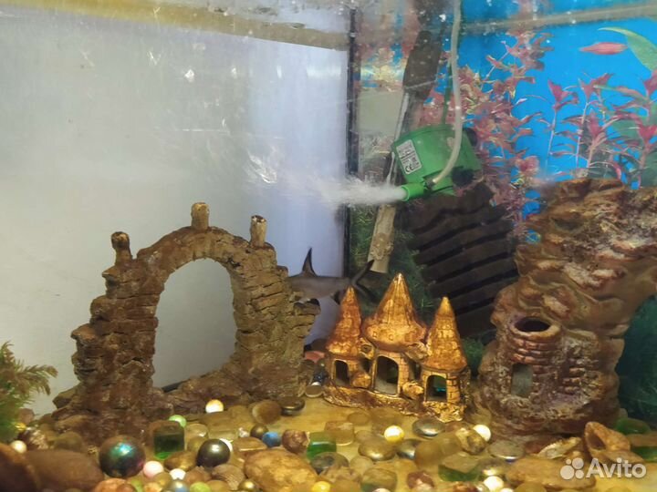Аквариум