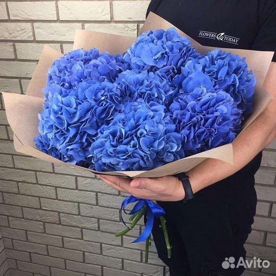 Невероятные синие и фиолетовые гортензии