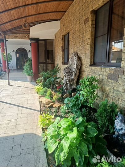 Отдых в Витязево