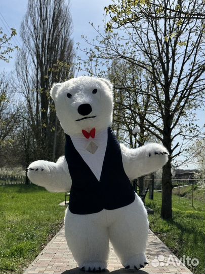 Белый мишка поздравление