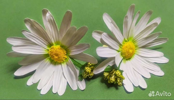 Резинки ромашки