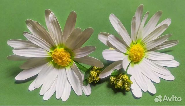 Резинки ромашки