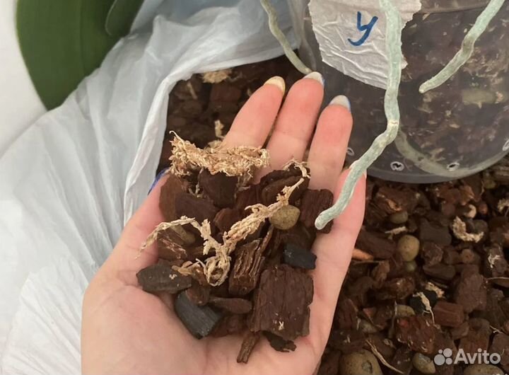 Доставка грут для орхидей