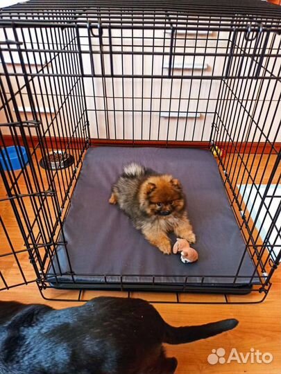 Клетка для животных