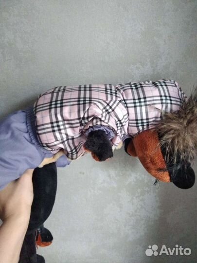 Куртка для щенка