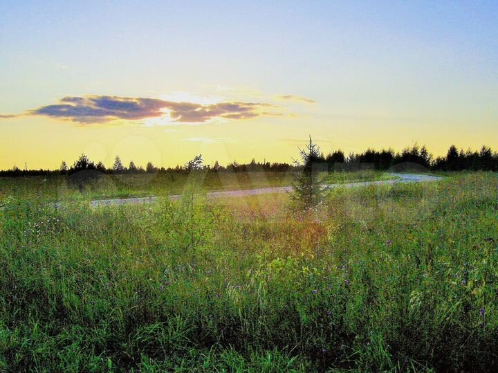 Участок 15 сот. (ИЖС)