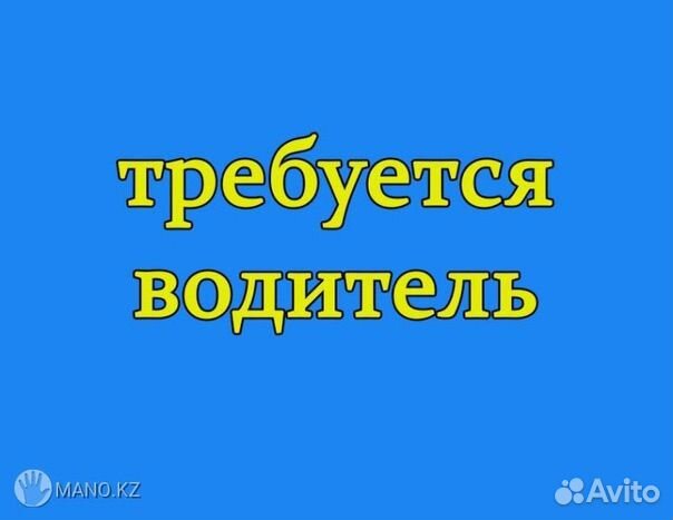 Водитель на газель