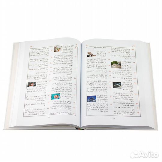 Книга Аль арабийя байна ядайк