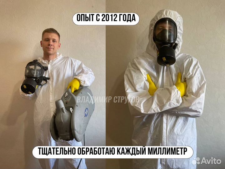 Уничтожение тараканов, клопов, плесени/Дезинфекция