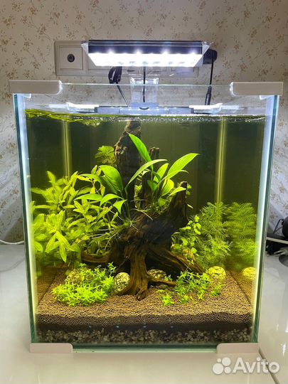 Аквариум на 30 литров