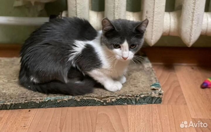 Девочка в приюте ей 4 месяца