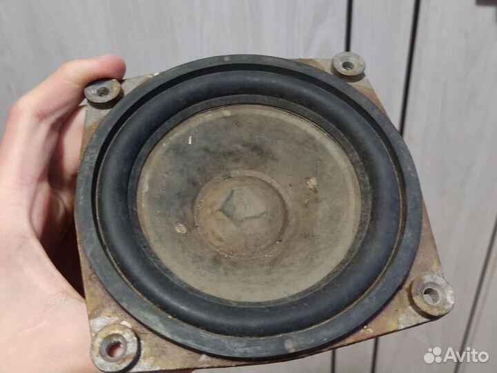 Динамик 25 гдн