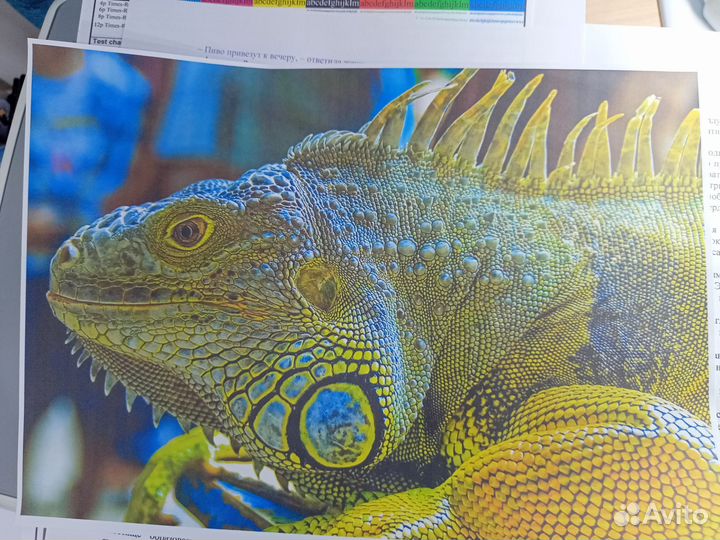 Принтер цветной с вай-фай