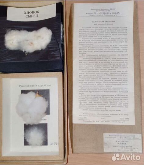 Коллекция хлопок для начальной школы 1953