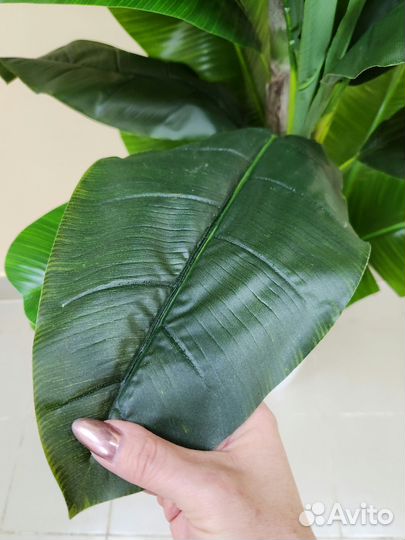 Пальма Банановая Премиум искусственная цветок дом