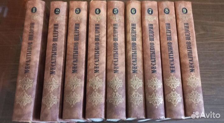 Салтыков Щедрин