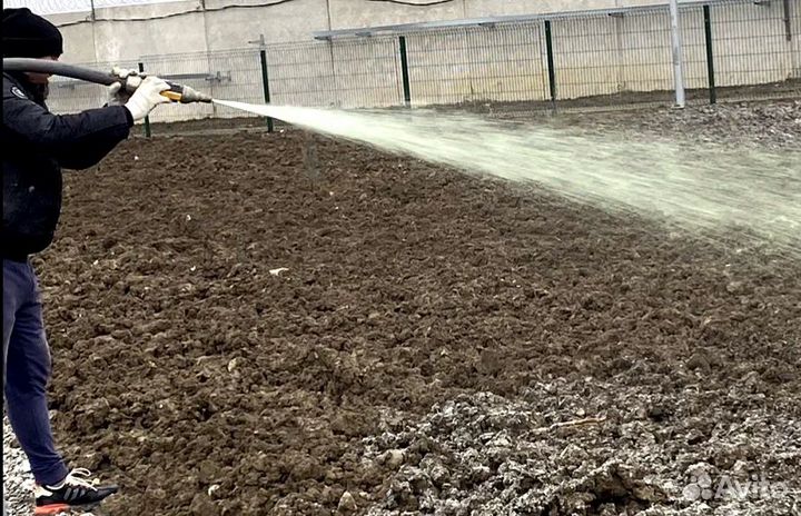 Семена, трава, газон