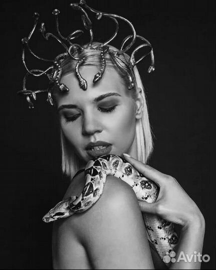 Аренда змей для фотосессии и видеосъёмки