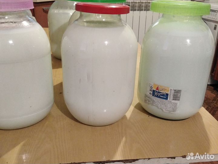 Молоко коровье домашнее