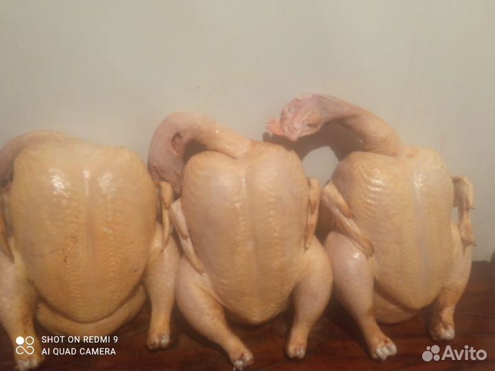 Продукты питания