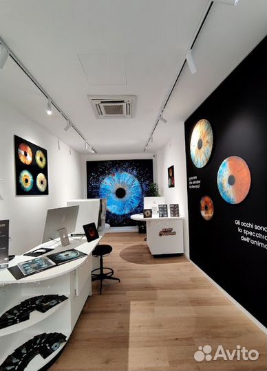 Готовый бизнес на снимках радужки