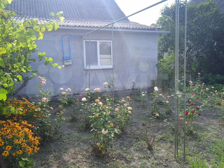 Дом 36,3 м² на участке 19 сот.